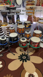 Ketipung Standar Kendang Dangdut Mika Serbuk Sahi Kualitas Suara Panggung Lengkap Dengan Stand Jagrak