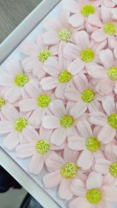 (50PCS)CHAMOMILE Soap Flower Base Fragrant Rose Bouquet Artificial Home Decor Bunga Sabun Chrysanthemum Daisy玫瑰肥皂花香皂花