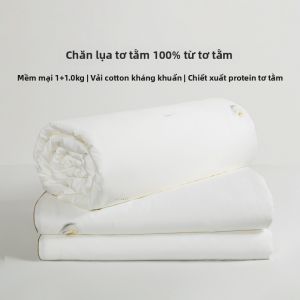 TAIHU SNOW | 100 Pure Mulberry Silk Antibacterial AC Blanket Insert 300g and 600g
