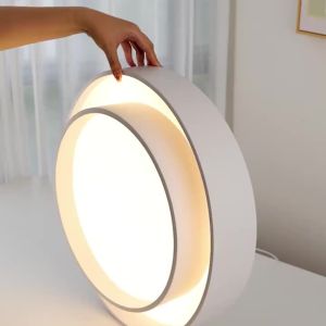 White Black Modern LED Ceiling Lights For Living Room Bedroom Dining Room Dimmable Lamp Indoor Round Square Stepless Fixtures