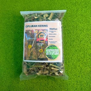 Daun batang ciplukan kering asli 100 Grm