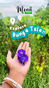 Bunga TELANG Kering Organik Asli - Teh Bunga Telang Butterfly Pea Flower by MenuPangan - Tea Bunga Herbal