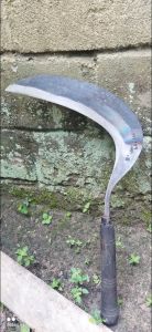 arit rumput baja per asli ukuran jumbo