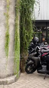 Kaos Viral untuk Pria: Kaos Premium Cotton 100%, Tebal & Adem\\n\\n Mengenal Kaos Gemoy Premium Viral Bahan Cotton 100%\\n\\nKaos Gemoy Premium Viral adalah kaos premium yang terbuat dari bahan cotton 100% dengan tekstur tebal dan adem. Kaos ini dirancang khusus untuk pria yang mencari gaya kasual namun tetap nyaman. Dengan bahan berkualitas tinggi, kaos ini menjadi pilihan tepat bagi Anda yang mencari kaos viral untuk pria.\\n\\n Keunggulan Kaos Gemoy Premium Viral\\n\\nKaos Gemoy Premium Viral memiliki beberapa keunggulan yang membuatnya menjadi pilihan yang tepat bagi Anda yang mencari kaos premium cotton 100%:\\n\\n- Bahan berkualitas tinggi: Kaos Gemoy Premium Viral terbuat dari bahan cotton 100%, yang membuatnya nyaman dipakai dan tidak mudah luntur.\\n- Tekstur tebal dan adem: Kaos ini memiliki tekstur tebal yang membuatnya nyaman dipakai, sementara bahan cotton 100% membuatnya tetap adem meskipun dipakai dalam waktu lama.\\n- Desain trendy: Kaos Gemoy Premium Viral memiliki desain yang trendy dan modern, sehingga cocok untuk gaya kasual Anda.\\n\\n Bahan Cotton 100% & Tekstur Kaos Gemoy Premium Viral\\n\\nBahan cotton 100% adalah bahan utama yang digunakan dalam pembuatan kaos Gemoy Premium Viral. Bahan ini memiliki sifat yang lembut dan nyaman dipakai, serta tidak mudah luntur. Tekstur tebal dan adem membuat kaos ini menjadi pilihan tepat bagi Anda yang mencari kaos premium cotton 100%.\\n\\n Kelebihan Kaos Gemoy Premium Viral untuk Gaya Kasual\\n\\nKaos Gemoy Premium Viral adalah pilihan tepat bagi Anda yang mencari kaos premium cotton 100% untuk gaya kasual. Kaos ini memiliki beberapa kelebihan yang membuatnya cocok untuk gaya kasual Anda:\\n\\n- Desain trendy: Kaos Gemoy Premium Viral memiliki desain yang trendy dan modern, sehingga cocok untuk gaya kasual Anda.\\n- Nyaman dipakai: Bahan cotton 100% dan tekstur tebal membuat kaos ini nyaman dipakai, bahkan dalam waktu lama.\\n- Fleksibel: Kaos Gemoy Premium Viral dapat dipadukan dengan berbagai jenis pakaian lainnya, seperti celana jeans, celana pendek, atau celana chino.\\n\\n Memilih Kaos Gemoy Premium Viral\\n\\nMemilih kaos Gemoy Premium Viral yang tepat untuk Anda bisa menjadi tantangan tersendiri. Berikut adalah beberapa tips yang dapat membantu Anda memilih kaos Gemoy Premium Viral yang tepat:\\n\\n Cara Memilih Ukuran Kaos Gemoy Premium Viral yang Tepat\\n\\nMemilih ukuran kaos Gemoy Premium Viral yang tepat sangat penting untuk mendapatkan kaos yang nyaman dipakai. Berikut adalah beberapa tips yang dapat membantu Anda memilih ukuran kaos Gemoy Premium Viral yang tepat:\\n\\n- Ukuran standar: Kaos Gemoy Premium Viral tersedia dalam ukuran standar, mulai dari S hingga XXL. Pastikan Anda memilih ukuran yang sesuai dengan postur tubuh Anda.\\n- Cek tabel ukuran: Tabel ukuran biasanya disertakan pada halaman produk. Cek tabel ukuran sebelum membeli kaos Gemoy Premium Viral.\\n- Pertimbangkan gaya: Jika Anda suka gaya kaos longgar, pilih ukuran yang satu ukuran lebih besar dari biasanya. Jika Anda suka gaya kaos ketat, pilih ukuran yang satu ukuran lebih kecil dari biasanya.\\n\\n Tips Memilih Warna Kaos Gemoy Premium Viral\\n\\nWarna kaos Gemoy Premium Viral dapat mempengaruhi penampilan Anda. Berikut adalah beberapa tips yang dapat membantu Anda memilih warna kaos Gemoy Premium Viral yang tepat:\\n\\n- Pilih warna yang cocok dengan kulit: Pilih warna kaos yang cocok dengan warna kulit Anda. Warna yang cocok akan membuat penampilan Anda terlihat lebih menarik.\\n- Pilih warna yang cocok dengan pakaian lainnya: Pilih warna kaos yang cocok dengan pakaian lainnya yang akan Anda padukan. Hal ini akan membuat penampilan Anda terlihat lebih serasi.\\n- Pilih warna favorit Anda: Pilih warna kaos yang Anda sukai. Kaos yang Anda sukai akan membuat Anda merasa nyaman dan percaya diri saat memakainya.\\n\\n Cara Memilih Desain Kaos Gemoy Premium Viral yang Sesuai Gaya\\n\\nDesain kaos Gemoy Premium Viral dapat mempengaruhi penampilan Anda. Berikut adalah beberapa tips yang dapat membantu Anda memilih desain kaos Gemoy Premium Viral yang tepat:\\n\\n- Pilih desain yang sesuai dengan gaya Anda: Pilih desain kaos yang sesuai dengan gaya Anda. Desain yang sesuai akan membuat penampilan Anda terlihat lebih menarik.\\n- Pilih desain yang trendy: Kaos Gemoy Premium Viral memiliki desain yang trendy dan modern. Pilih desain yang sedang tren saat ini.\\n- Pilih desain yang tidak terlalu ramai: Pilih desain kaos yang tidak terlalu ramai atau banyak detail. Desain yang sederhana akan membuat penampilan Anda terlihat lebih rapi.\\n\\n Cara Merawat Kaos Gemoy Premium Viral\\n\\nMerawat kaos Gemoy Premium Viral dengan baik sangat penting untuk menjaga kualitas dan ketahanan kaos. Berikut adalah beberapa tips yang dapat membantu Anda merawat kaos Gemoy Premium Viral dengan baik:\\n\\n Cara Mencuci Kaos Gemoy Premium Viral dengan Benar\\n\\nCara mencuci kaos Gemoy Premium Viral yang benar sangat penting untuk menjaga kualitas dan ketahanan kaos. Berikut adalah beberapa tips yang dapat membantu Anda mencuci kaos Gemoy Premium Viral dengan benar:\\n\\n- Gunakan detergen khusus: Gunakan detergen khusus untuk pakaian cotton 100%. Detergen khusus akan membantu menjaga kualitas dan ketahanan kaos.\\n- Jangan gunakan pemutih: Jangan gunakan pemutih saat mencuci kaos Gemoy Premium Viral. Pemutih dapat merusak kualitas kaos.\\n- Jemur di tempat teduh: Jemur kaos Gemoy Premium Viral di tempat teduh untuk menjaga kualitas dan ketahanan kaos.\\n\\n Tips Menyimpan Kaos Gemoy Premium Viral Agar Tetap Awet\\n\\nMenyimpan kaos Gemoy Premium Viral dengan baik sangat penting untuk menjaga kualitas dan ketahanan kaos. Berikut adalah beberapa tips yang dapat membantu Anda menyimpan kaos Gemoy Premium Viral dengan baik:\\n\\n- Simpan di tempat teduh: Simpan kaos Gemoy Premium Viral di tempat teduh untuk menjaga kualitas dan ketahanan kaos.\\n- Jangan simpan di tempat lembab: Jangan simpan kaos Gemoy Premium Viral di tempat lembab. Tempat lembab dapat menyebabkan kaos menjadi basah dan berjamur.\\n- Simpan di tempat kering: Simpan kaos Gemoy Premium Viral di tempat kering untuk menjaga kualitas dan ketahanan kaos.\\n\\n Cara Mengatasi Kerutan pada Kaos Gemoy Premium Viral\\n\\nKaos Gemoy Premium Viral dapat mengalami kerutan setelah dicuci atau disimpan. Berikut adalah beberapa tips yang dapat membantu Anda mengatasi kerutan pada kaos Gemoy Premium Viral:\\n\\n- Gunakan setrika: Setrika dapat membantu menghilangkan kerutan pada kaos Gemoy Premium Viral. Pastikan Anda menyetrika kaos dengan suhu yang tepat.\\n- Jemur di tempat teduh: Jemur kaos Gemoy Premium Viral di tempat teduh untuk menghilangkan kerutan.\\n- Gunakan penghilang kerutan: Penghilang kerutan dapat membantu menghilangkan kerutan pada kaos Gemoy Premium Viral. Pastikan Anda menggunakan penghilang kerutan yang aman untuk bahan cotton 100%.\\n\\n Kesimpulan\\n\\nKaos Gemoy Premium Viral adalah kaos premium yang terbuat dari bahan cotton 100% dengan tekstur tebal dan adem. Kaos ini memiliki beberapa keunggulan yang membuatnya menjadi pilihan tepat bagi Anda yang mencari kaos premium cotton 100%. Dengan tips yang telah dis