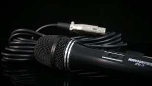RAYHAYES RD-7 wired microphone original professional Heavy Duty platinum dynamic mike for videoke recording church