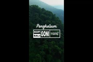 DFANCCIE Parfum Mobil Kopi Bali Pengharum Pewangi Ruangan Aroma Kopi