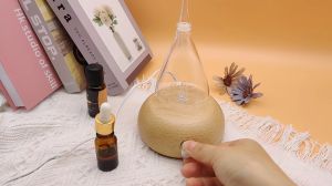 Waterless Aromatherapy Diffuser Air Purifiers No Heat Scent Nebulizer Wood Base and Glass Bottle Design