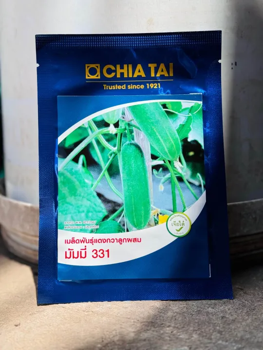 เมล็ดแตงกวาลูกผสม มัมมี่ 331 เจียไต๋