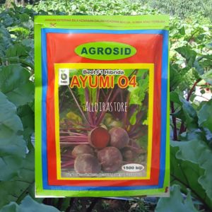 Benih Buah Bit  Ayumi  F1  Original Kemasan Pabrik