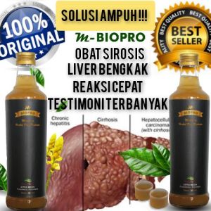 M Biopro Asli Obat Sirosis Hati l Obat Herbal Sirosis Hati 380 ml Reaksi Cepat
