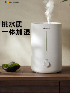 「China Plug」Bear | Quiet Large Mist Purifying Humidifier