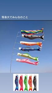 ธงผ้าปลาคาร์ฟญี่ปุ่น แบบดั้งเดิม 40ซม. 60ซม. 100ซม. ของตกแต่งบ้าน ร้านอาหาร โรงแรม มีสินค้าพร้อมส่งจ้า