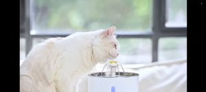 " Local stock"  Cat Water Fountain Stainless Steel/Plastic Ultra-Quiet Cat Fountain 2.4L BPA-Free Pet Water Fountain cat Water Dispenser with LED Night Vision for Cats Dogs