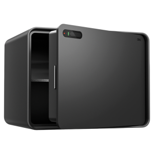 deli | Palm Vein Unlocking Home Mini Steel Safe