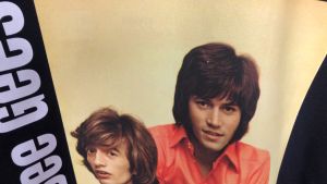 Kaos The Bee Gees Tshirt Bahan 100% Cotton