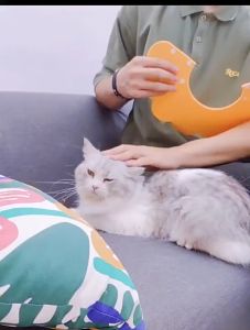 KP Elizabeth Circle มงกุฎปลอกคอกันเลียแผลคอลล่าแมวลำโพงแมว คอลล่าทรงมงกุฎ สุดน่ารัก ลำโพงกันเลีย