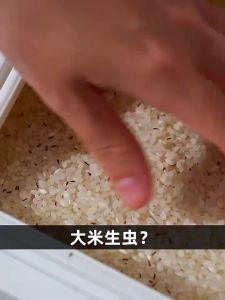 BFF 24SS Rice Storage Box Grain Container Household Cereal Rice Bucket Insect and Moisture Proof Sealed Kitchen Organizer