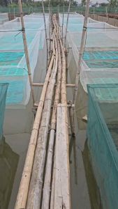 11 size Tráng - vèo lưới nuôi ếch đáy 4ly thành 2ly Hàng không xô mắt