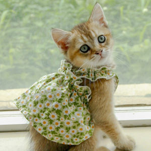 Cat Clothes Summer Thin Kittens Cute Small Skirt Princess Style Small Size Dogs Teddy Pet Dog Clothes