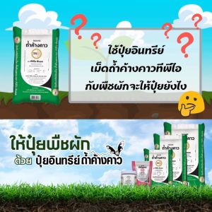 1 กก ปุ๋ยอินทรีย์เม็ดถ้ำค้างคาว (เล็ก) - ขนาด 1