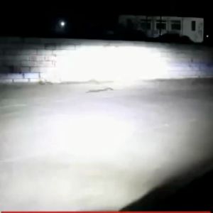 Kit Bohlam H4 Hi/Low Beam: Lampu Depan LED Projie Mobil