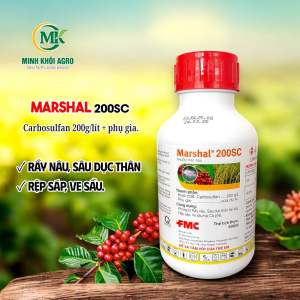 Thuốc trừ sâu Marshal 200SC