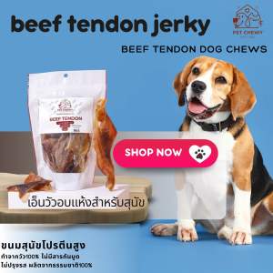Beef tandon jerky เอ็นวัวสำหรับน้องหมา ขนมสุนัขขนมขัดโปรตีนสูงเอ็นวัวอบแห้งผลิตจากช่วยขัดหินปูน โปรตีนสูงเอ็นวัวอบแห้งผลิตจากวัว100%