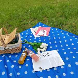 Thickened Disposable Picnic Tablecloth Outdoor Waterproof Spring Outing Tablecloth Countryside Tour Ins Style Popular Products