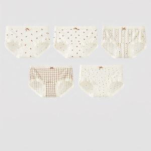 COSMO LADY | Antibacterial Cotton Ladies Panties