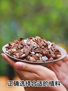 2.5kg/4.5kg Premium Orchid Potting Breathable Mix Organic Bark Orchid Soil Fermented Natural For All Orchid Types Ready To Use Prevent Root Rot