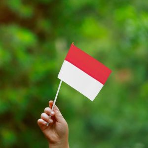 10pcs Kemerdekaan Bendera Merah Putih Bendera Tongkat Tangkai Merah Putih Bendera Tongkat Tangkai Merah Putih Kecil Indonesia Pawai 17 Agustusan