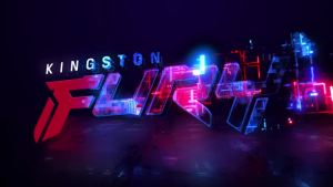 Kingston | Kingston DDR5 RAM FURY Beast 32GB 16GB 6000MHz CL36 CL30 AMD EXPO Memory Profiles 288Pin DIMM PC5-48000