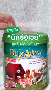 บักซ์อเวย์ 56 ขด (1 ลัง/12 กระป๋อง) พร้อมถาด ยาจุดกันยุง สำหรับสัตว์เลี้ยง
