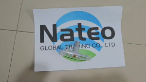 Nateo Soluto turn signal left and right side indicators with clear lenses and orange reflectors.