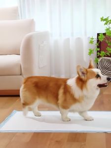 Tả lót vệ sinh huấn luyện Chó mèo Miếng lót cho chó mèo đi vệ sinh Tã Lót Vệ Sinh Cho Chó Mèo