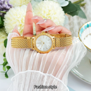 OLEVS watch for women waterproof original elegant small dial gift for girlfriend relo for women with box