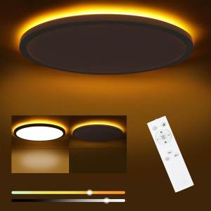Dimmable LED Flush Mount Ceiling Light Fixture with Remote Control 12Inch 24W 3000K-6500K Light Color Adjustable Modern Ultra-Thin Ceiling Lamp for Bedroom Kitchen Wired