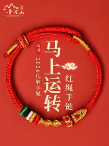 2025 Snake Year Lucky Charm Bracelet for Men And Women Original Design Handwoven Red String Bracelet Childrens Gift
