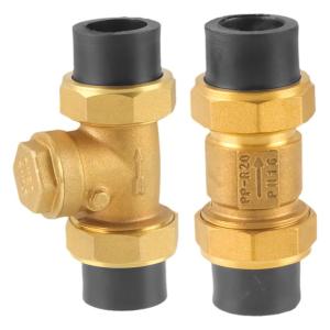 danxilu | Dual-Connection Non-Return Valve