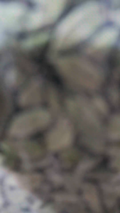 Kapulaga Hijau India 50g Asli Original 100% / Kapulaga Green Premium Termurah