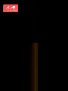 Pembersih Telinga Korek Kuping Ear Spoon Wax Picker with LED