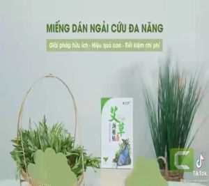 Hộp 12 Miếng Dán Ngải Cứu  Giảm Đau Cổ Vai Gáy Hiệu Quả