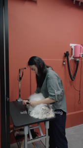 Trident AirDome™️ 60