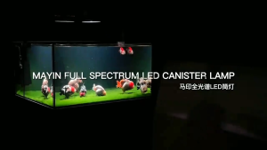⚡SG Official Distributor⚡MAYIN Canister Lamp (100W) For Goldfish