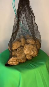 Batu Apung Media Filter Biologis 3 Kg + Kantong Waring | Kolam Koi Aquarium & Aquascape