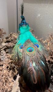 Handmade Peacock Feathers Home Decorative Ornaments Festive Courtyard Gift Pure Handmade 45cm Length Animal Shaped Desktop Decor