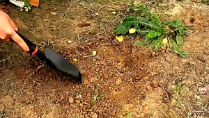 Shovel Gardening Planting Tool Set Rake Hoe Garden Tools And Equipment Gardening Tool For Garden