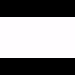 ENERGY | Cọ Phấn Má Hình Lưỡi