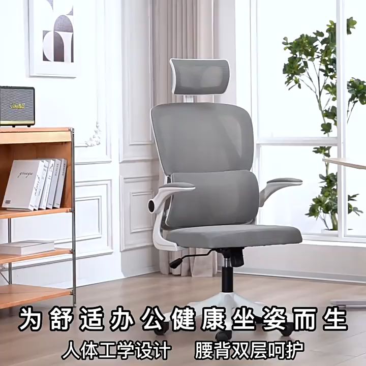 LENOBLE 419 Office Chair with Rocking Computer Chair Gaming Chair High ...