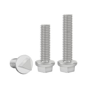 JINJUNTAI | Anti-theft 304 Stainless Steel Triangular Head Screws